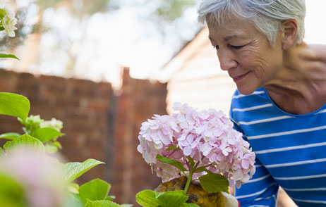 Düfte machen Erinnerungen
