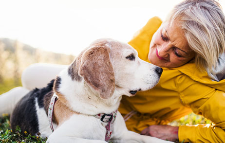 ältere Frau liegt mit Ihrem Hund draußen auf der Wiese