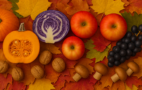 Äpfel, Kürbis, Rotkraut, Pilze und Nüsse liegend auf bunten Herbstblättern