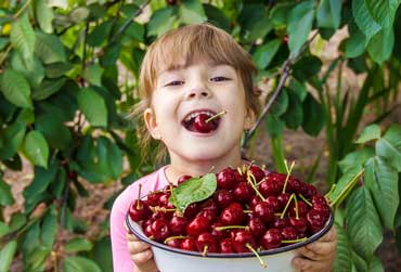 kleines Mädchen hält ein Schüssel voller Kirschen in der Hand