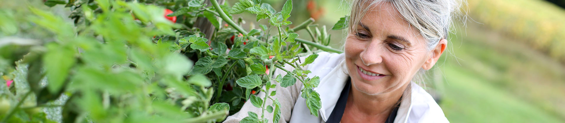 Gesund durch den Tag