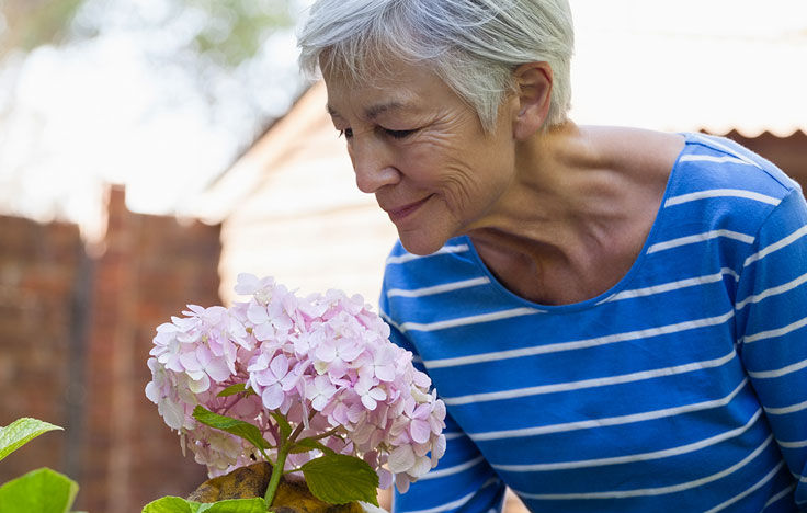 ältere Frau riecht an einer großen Blüte