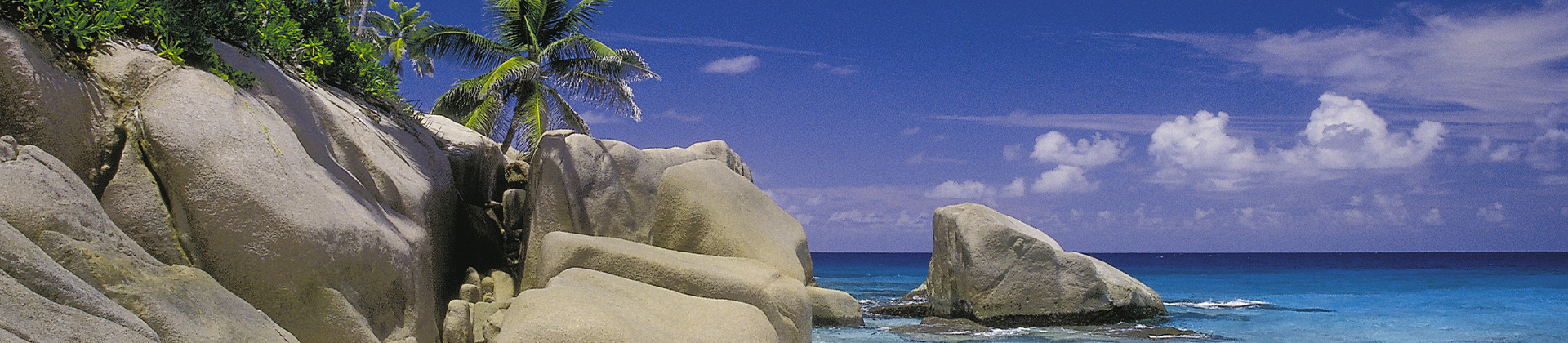 Strand mit Palmen und Felsen und dem blauen Meer. Im Hintergrund sieht man den blauen Himmel