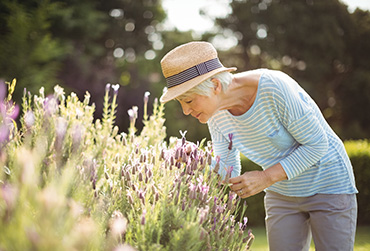 Ältere Frau mit Sonnenhut bückt sich leicht zu einem Lavendelstrauch und riecht daran.