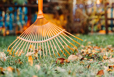 Laub wird zusammen gerecht