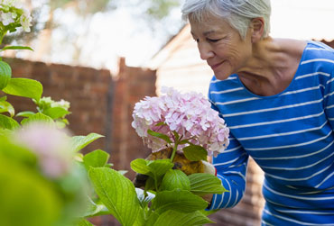 Gerüche wecken Erinnerungen