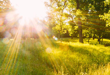 Die letzten Sonnenstrahlen fühlen