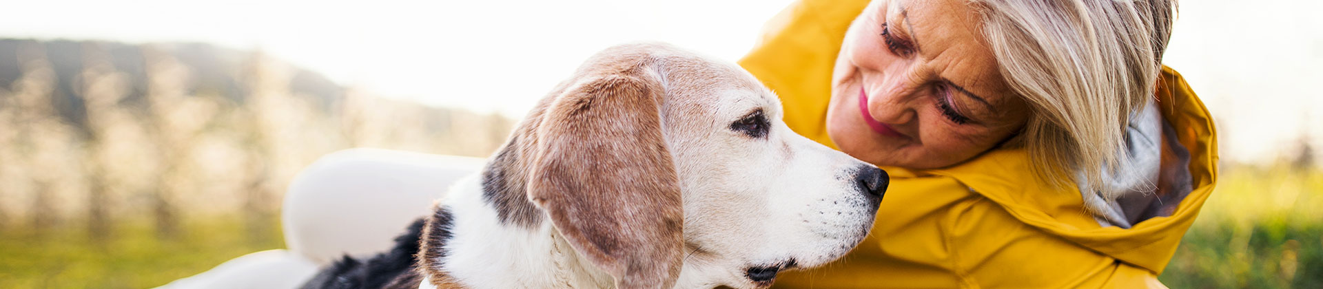 Haustiere halten das Gedächtnis auf Trab