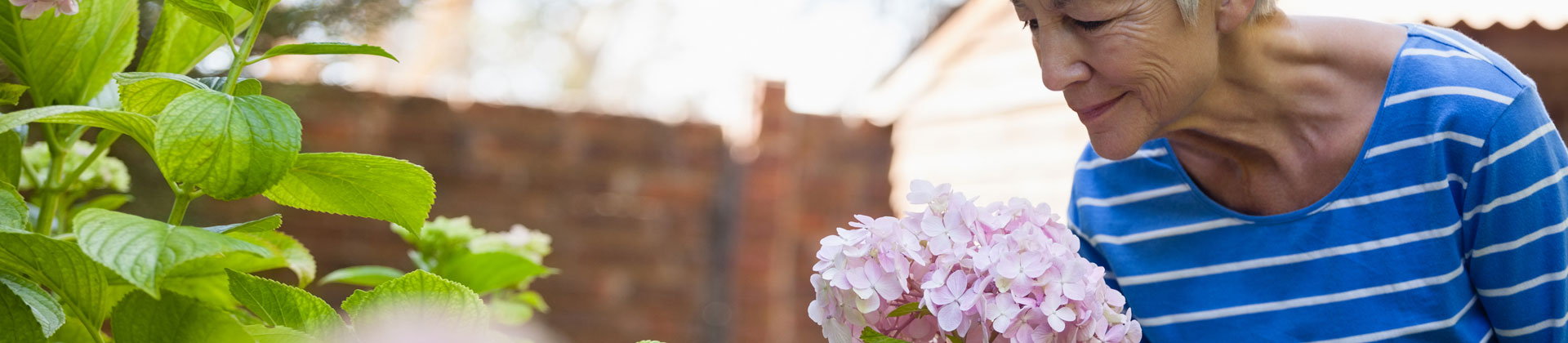 Düfte wecken Erinnerungen