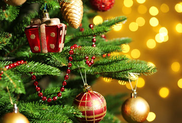 Christbaum loben Christbaum loben